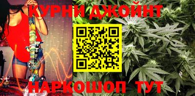 индика Гусев