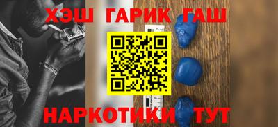 индика Гусев