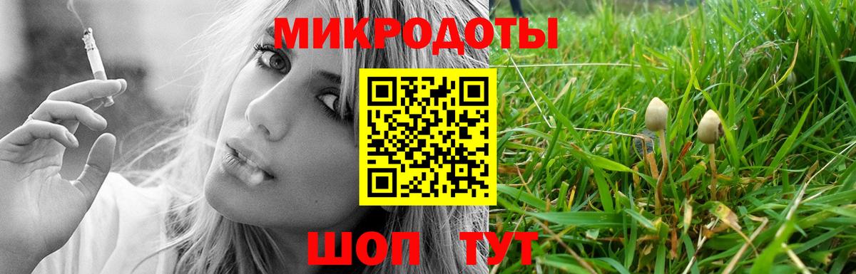 Галлюциногенные грибы Cubensis Ликино-Дулёво